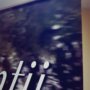 Rollup-Mirabela-Stefanescu-012