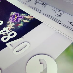 Rollup-Mirabela-Stefanescu-05