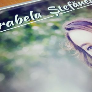 Rollup-Mirabela-Stefanescu-06