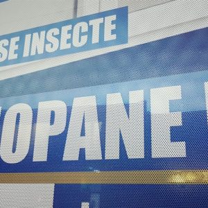 Decorare-Vitrine-Rarimob-WMG-sma-012